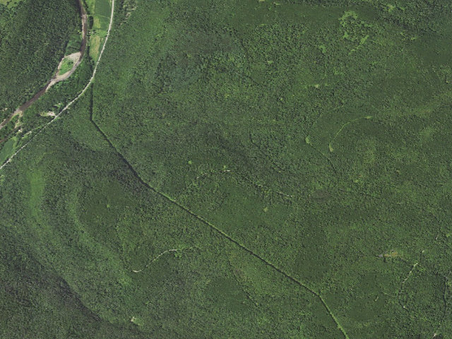 Aerial image of Loyalsock State Forest roadside campsite 780