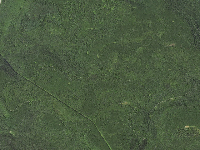 Aerial image of Loyalsock State Forest roadside campsite 797