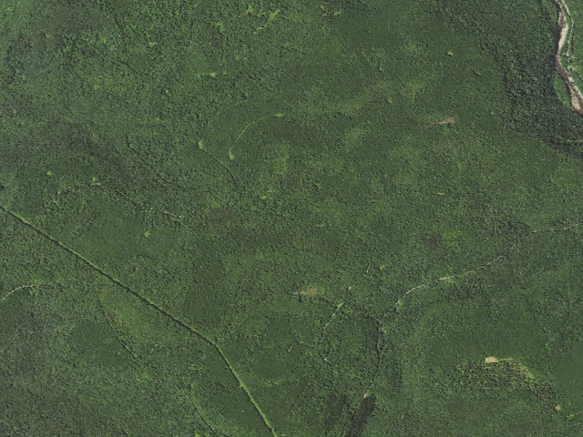 Aerial image of Loyalsock State Forest roadside campsite 800