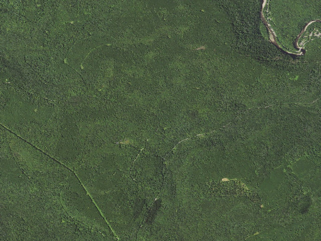 Aerial image of Loyalsock State Forest roadside campsite 815