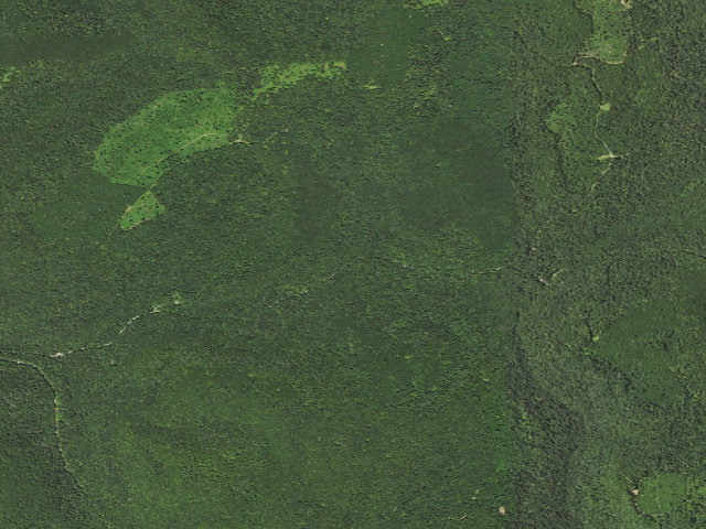 Aerial image of Loyalsock State Forest roadside campsite 830