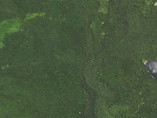 Aerial image of Loyalsock State Forest roadside campsite 835