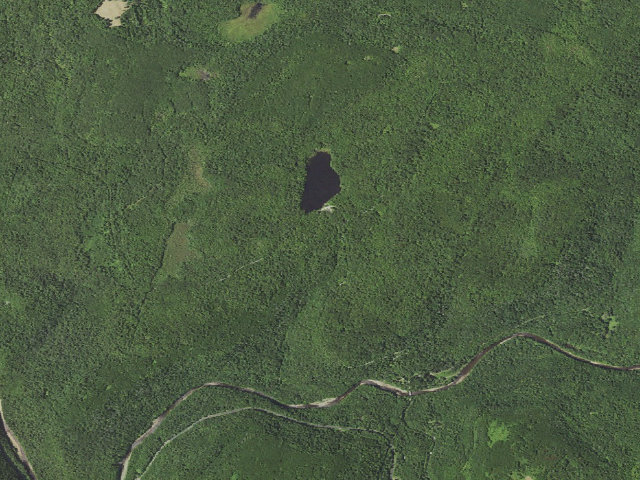 Aerial image of Loyalsock State Forest roadside campsite 900