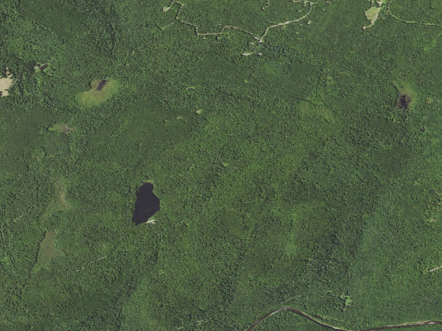Aerial image of Loyalsock State Forest roadside campsite 902