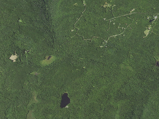Aerial image of Loyalsock State Forest roadside campsite 905