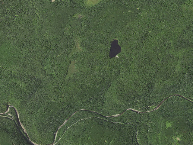 Aerial image of Loyalsock State Forest roadside campsite 911