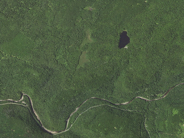 Aerial image of Loyalsock State Forest roadside campsite 920