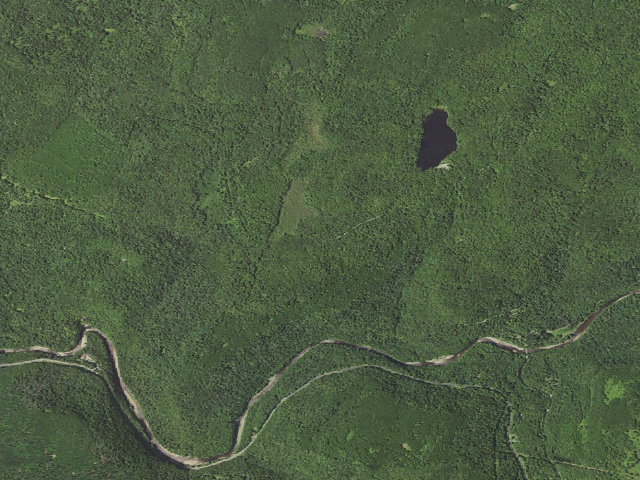 Aerial image of Loyalsock State Forest roadside campsite 923