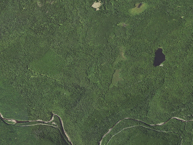 Aerial image of Loyalsock State Forest roadside campsite 924