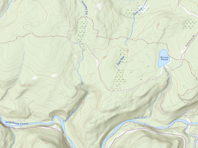 USGS topographic map of Loyalsock State Forest roadside campsite 924