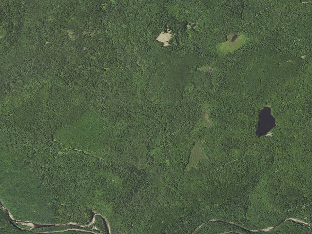Aerial image of Loyalsock State Forest roadside campsite 925