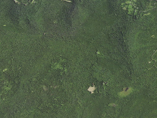 Aerial image of Loyalsock State Forest roadside campsite 947