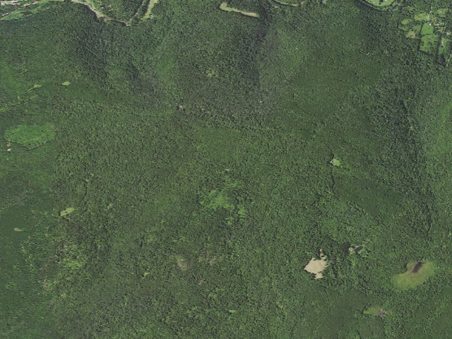 Aerial image of Loyalsock State Forest roadside campsite 950