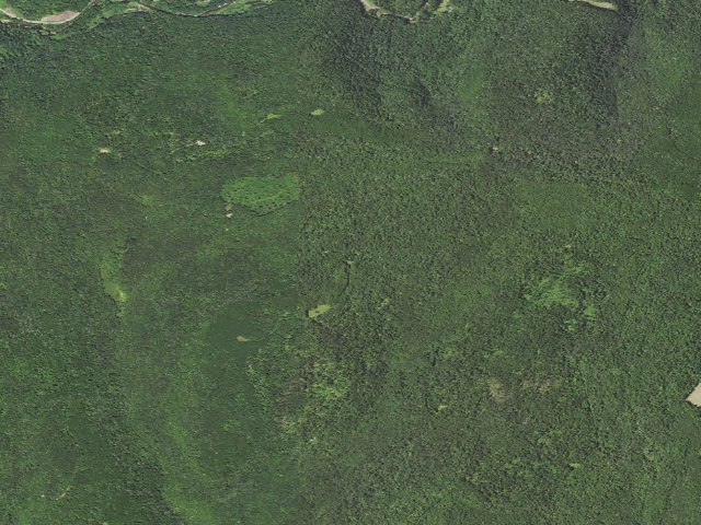 Aerial image of Loyalsock State Forest roadside campsite 955
