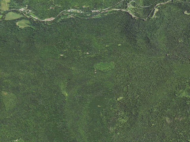 Aerial image of Loyalsock State Forest roadside campsite 958