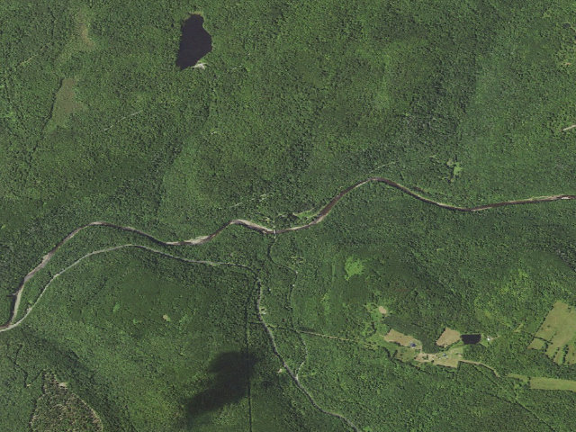 Aerial image of Loyalsock State Forest roadside campsite 971