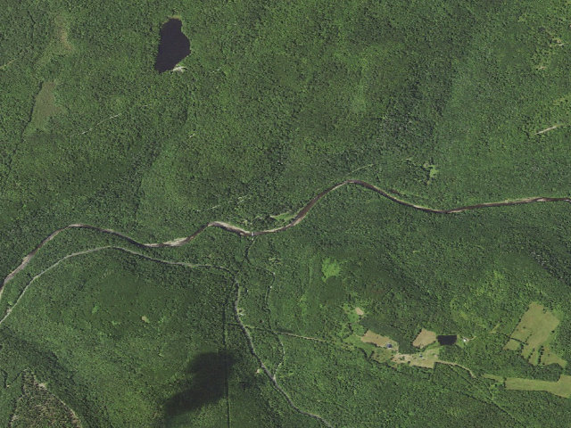 Aerial image of Loyalsock State Forest roadside campsite 972 (Jakersville CCC Camp)