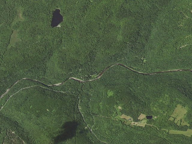 Aerial image of Loyalsock State Forest roadside campsite 981 (Jakersville CCC Camp)