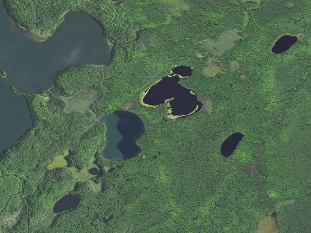 Aerial image of Luna White Deer