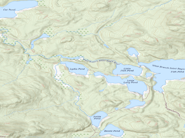 USGS topographic map of Lydia Pond Campsite (Saint Regis Canoe Area)