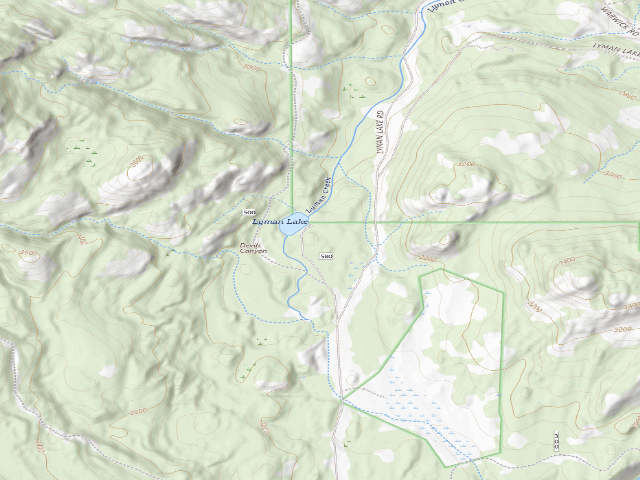 USGS topographic map of Lyman Lake