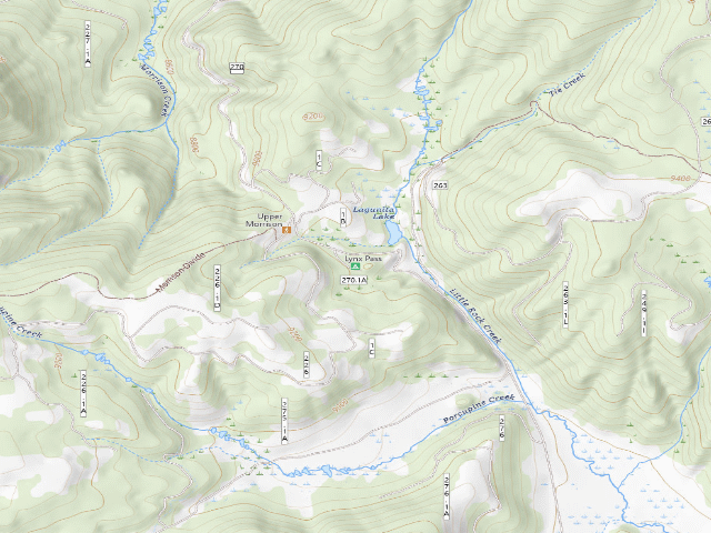USGS topographic map of Lynx Pass