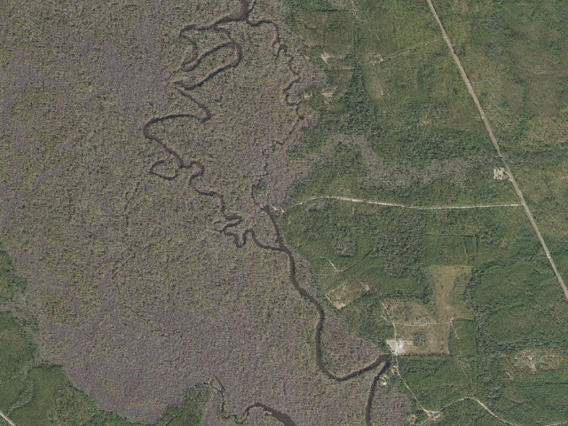 Aerial image of Mack Landing Campground