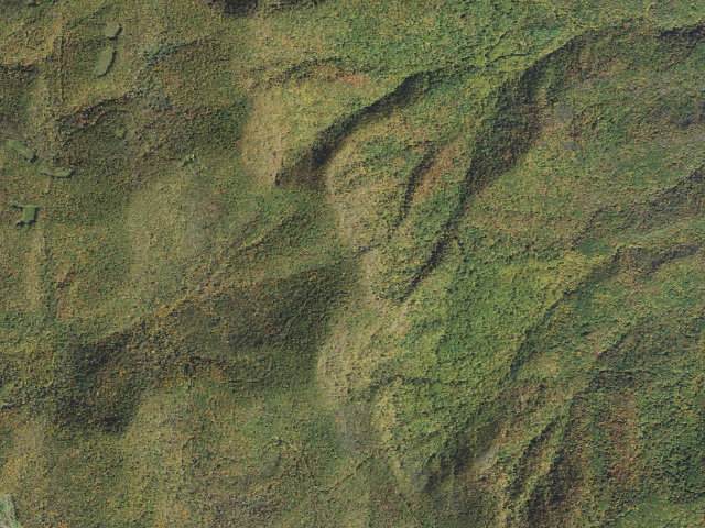 Aerial image of Macon County