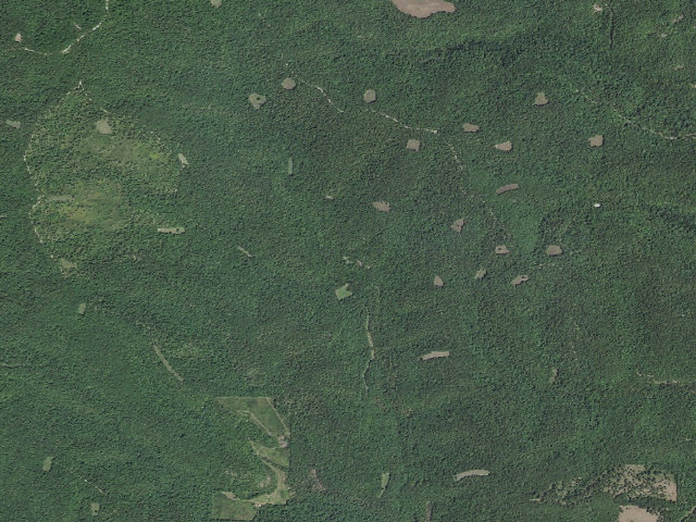 Aerial image of Madison County Camping Area #10