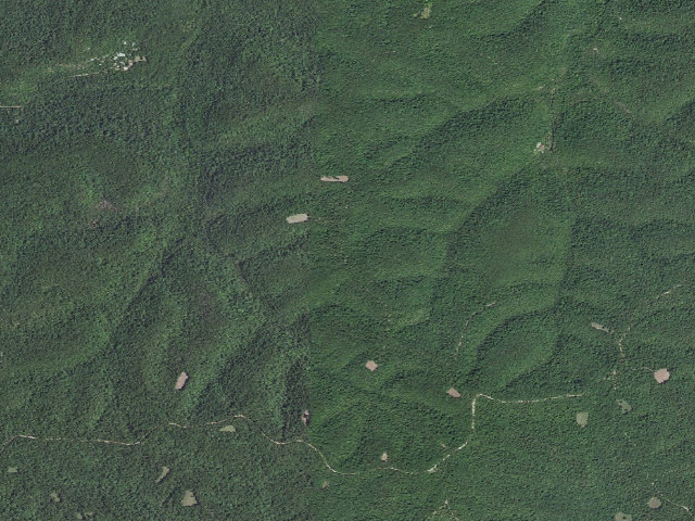 Aerial image of Madison County Camping Area #16