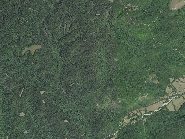 Aerial image of Madison County Camping Area #19