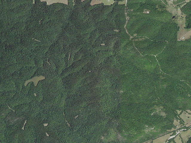 Aerial image of Madison County Camping Area #20