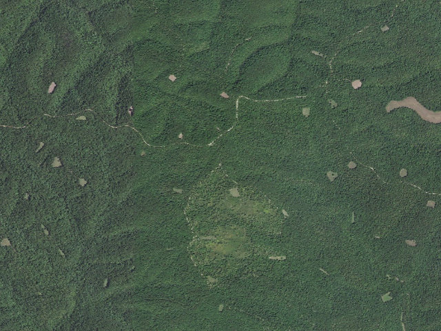 Aerial image of Madison County Camping Area #8