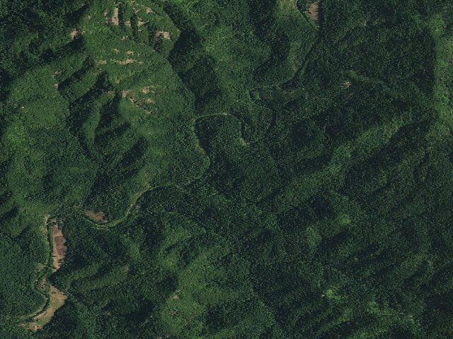 Aerial image of Madrone Cg-F