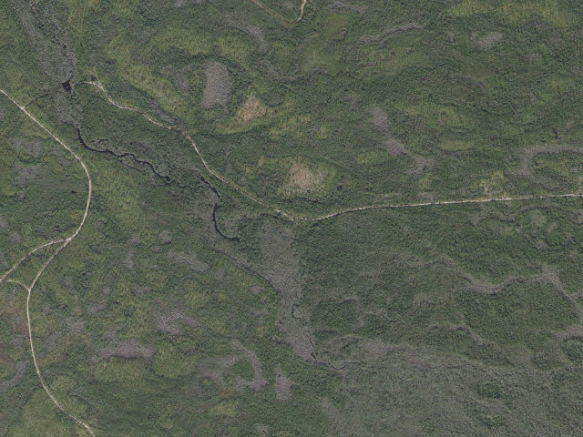 Aerial image of Magnolia Hunt Camp