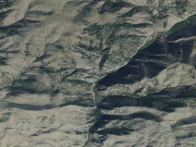 Aerial image of Magpie01