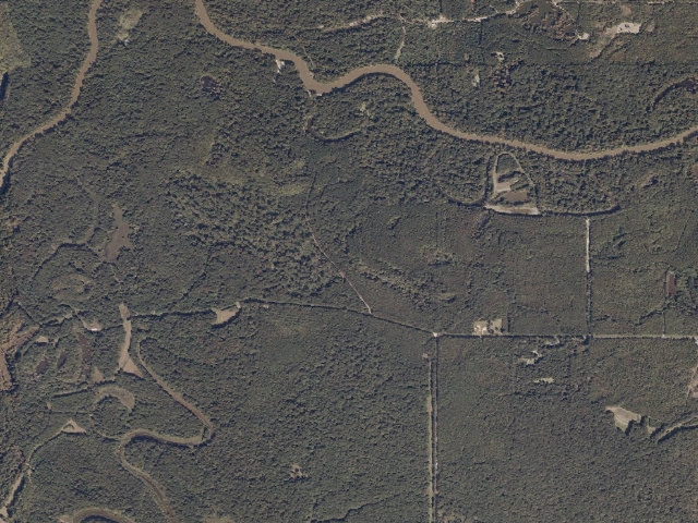 Aerial image of Malmaison WMA camp site 1
