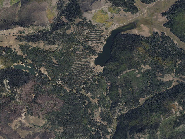 Aerial image of Manning Meadow CUA Dispersed