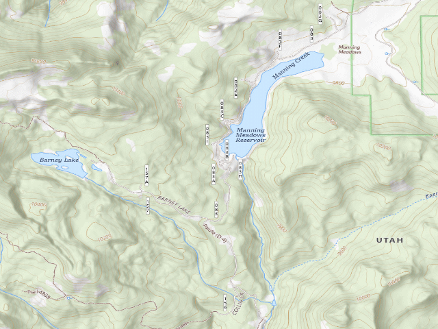 USGS topographic map of Manning Meadow CUA Dispersed