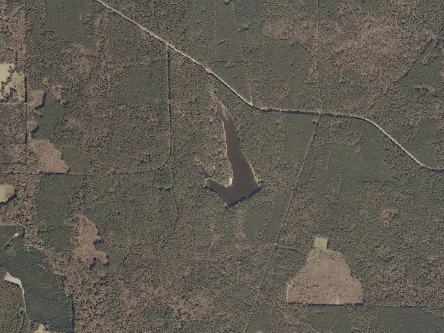 Aerial image of Marathon Lake