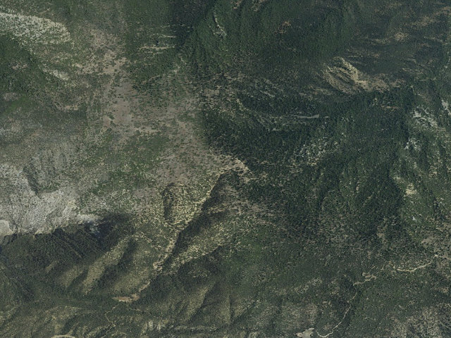 Aerial image of Marian