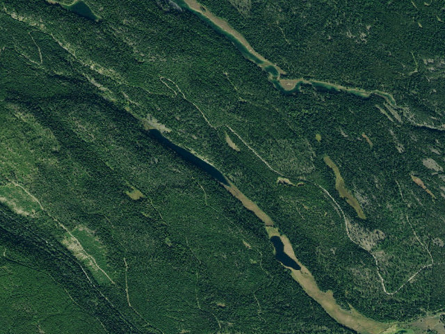 Aerial image of Marin Lake Camp 1