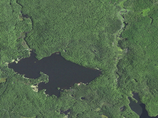 Aerial image of Marion Lake Camp