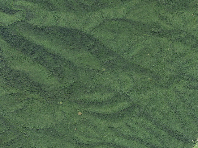 Aerial image of Marlin Mountain Shelter