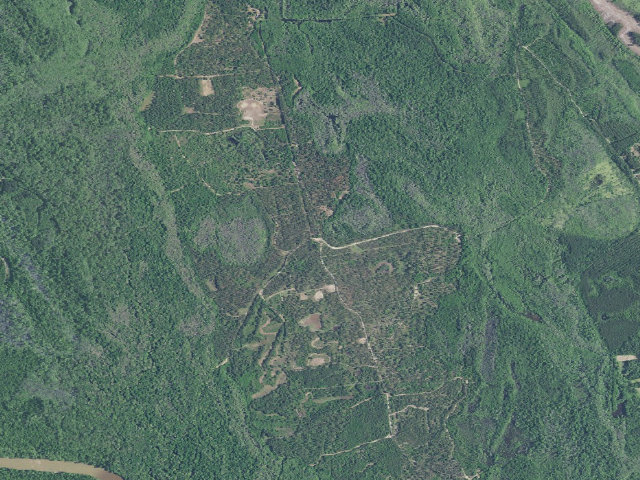 Aerial image of Marsh WMA primitive campsite