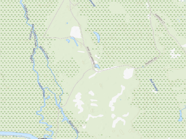 USGS topographic map of Marsh WMA primitive campsite