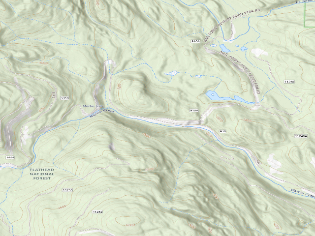 USGS topographic map of Martin 4