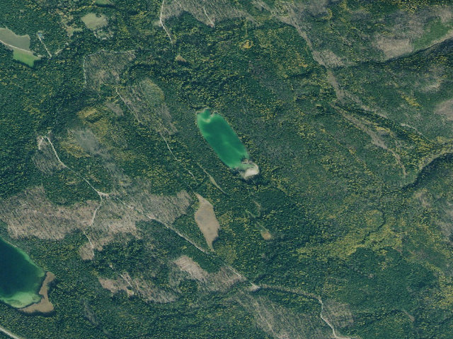 Aerial image of Martin Lake
