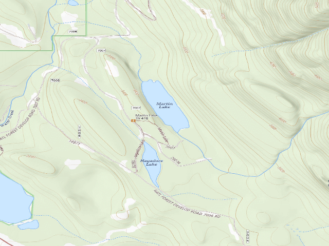 USGS topographic map of Martin Lake