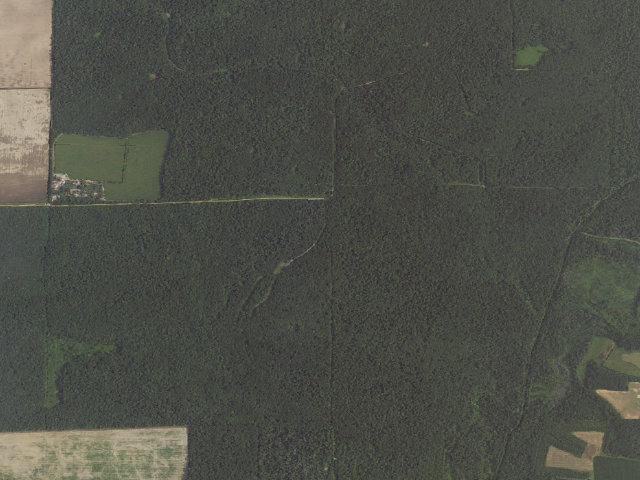 Aerial image of Martin Tract Camping Area